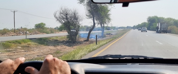 آتش‌زدن درختان در خوزستان / راهداری: برای ایمنی جاده بوده!+ عکس