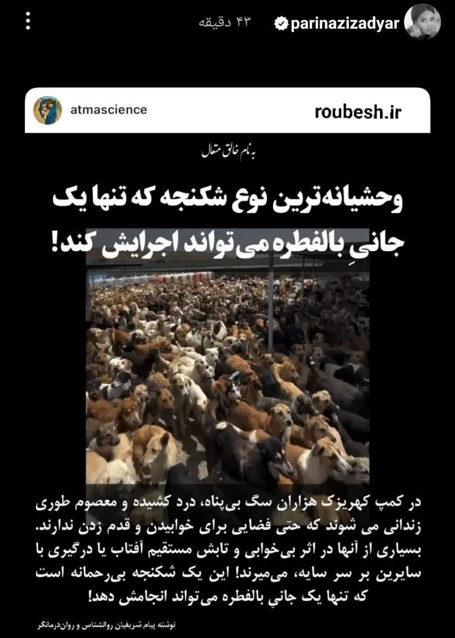 اعتراض شدید پریناز ایزیار به یک اقدام بی‌رحمانه