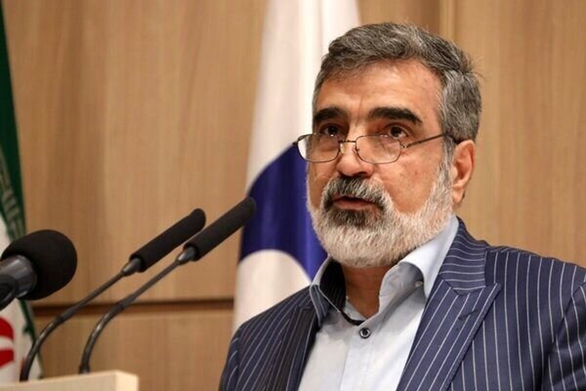 ایران تنها کشور بدون سلاح هسته ای است که غنی‌سازی می‌کند؟