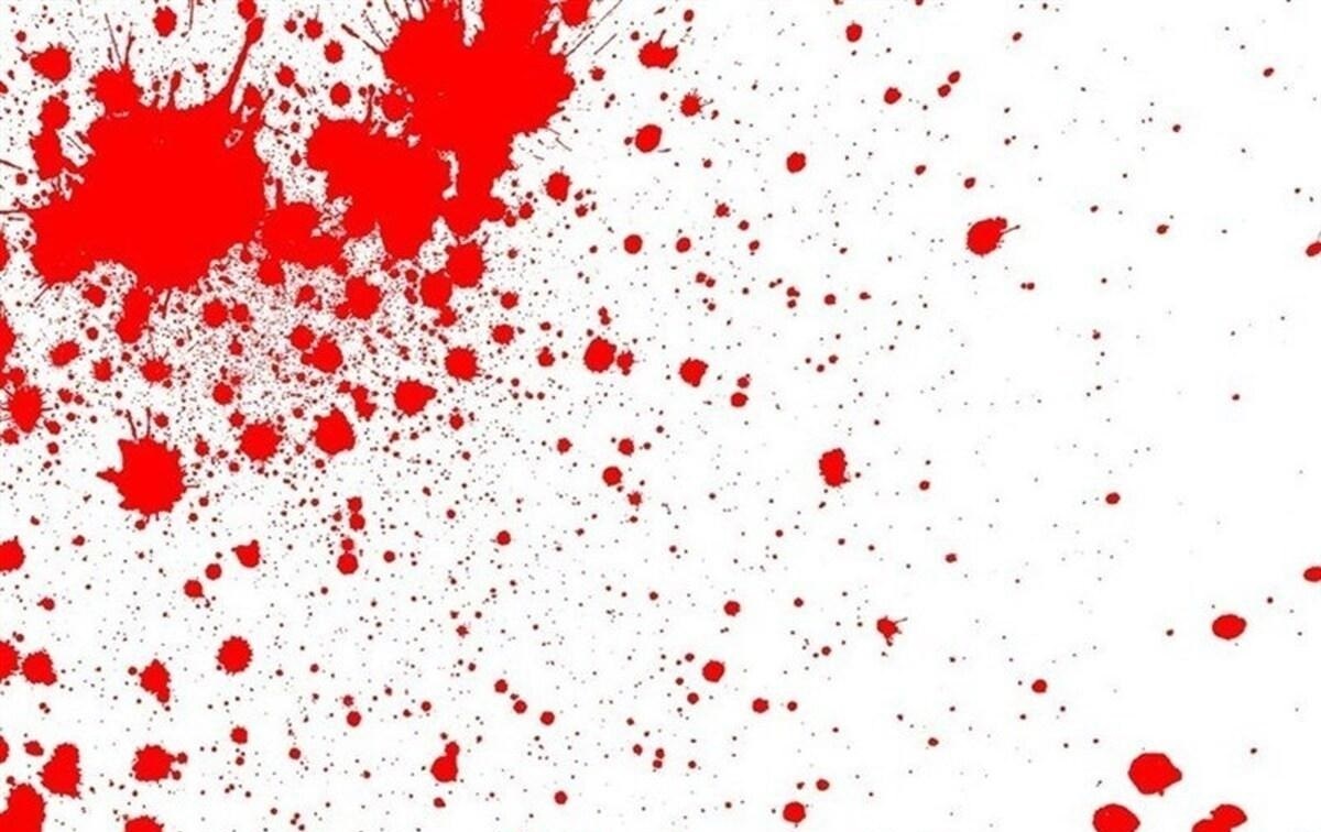 تصادف به قتل عمدی تبدیل شد
