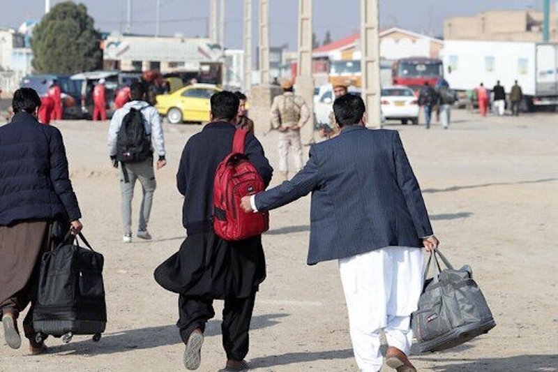 گزارش رسمی وزارت بهداشت از زاد و ولد اتباع در کشور