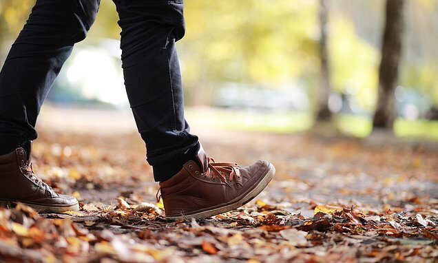 مغزتان را با انجام این کار ساده در میانسالی جوان نگه دارید