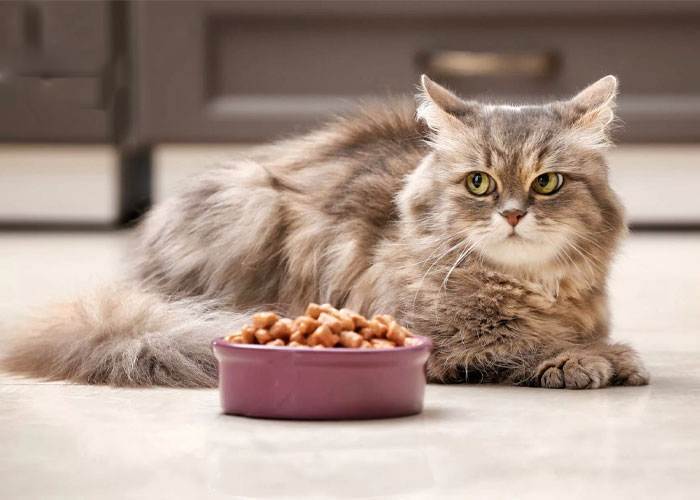 مزایای محصولات وینستون مزایای محصولات وینستون