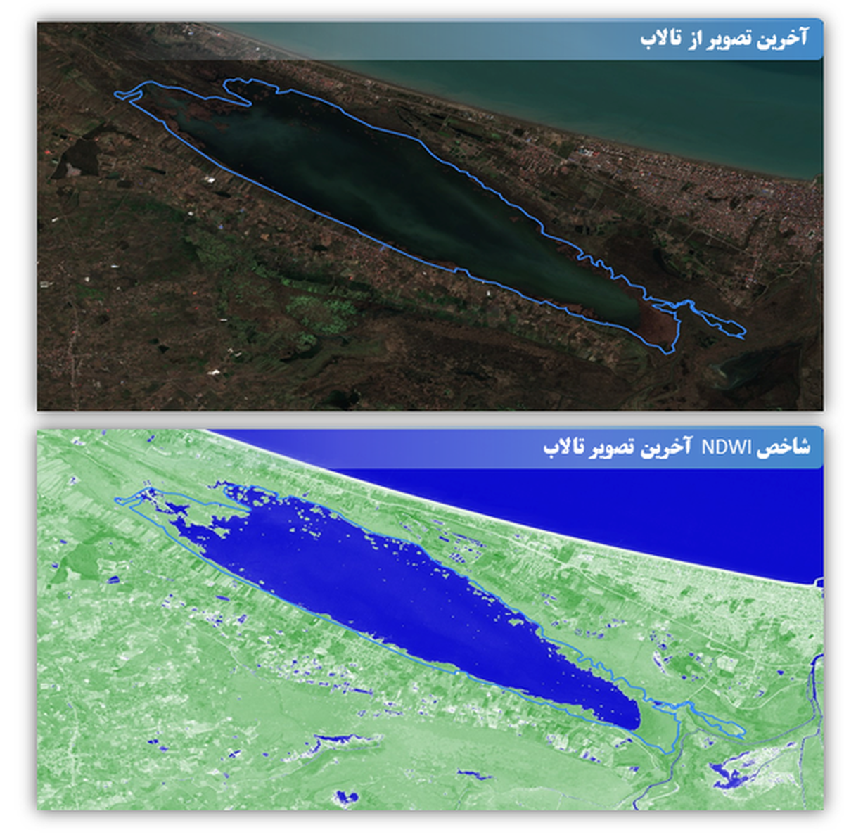 معجزه در انزلی؛ تالاب زنده شد