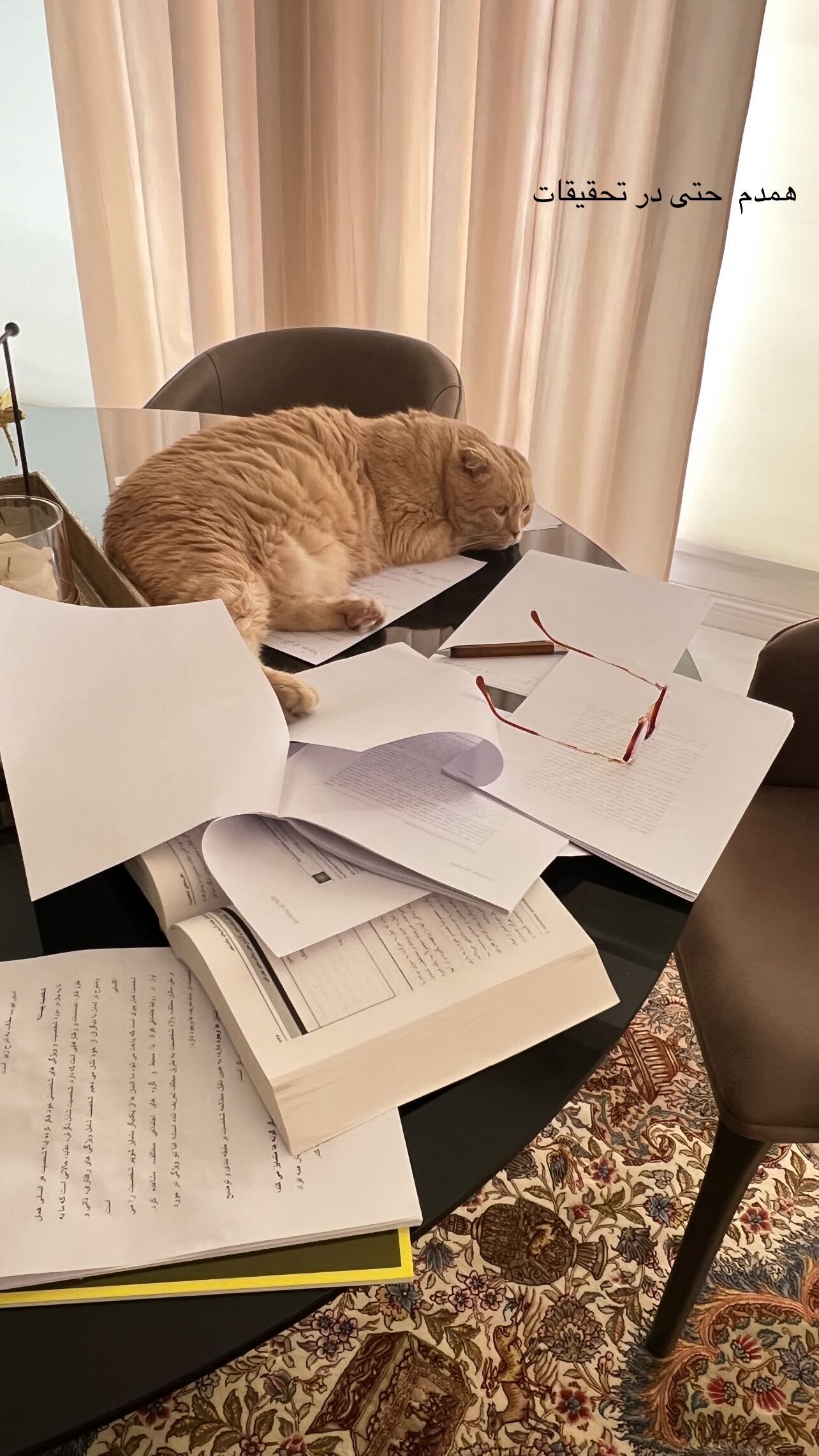 عکس/بهنوش طباطبایی از همدم این روزهایش رونمایی کرد