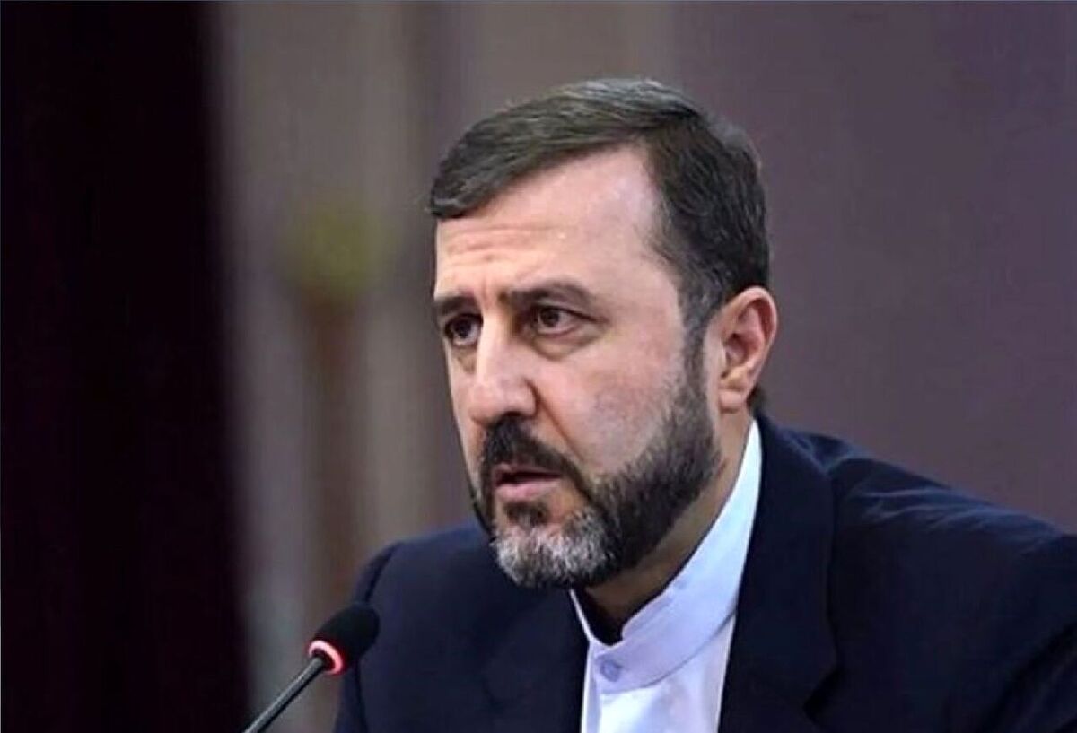 غریب آبادی: ‏حق غنی‌سازی خط قرمز قطعی ماست