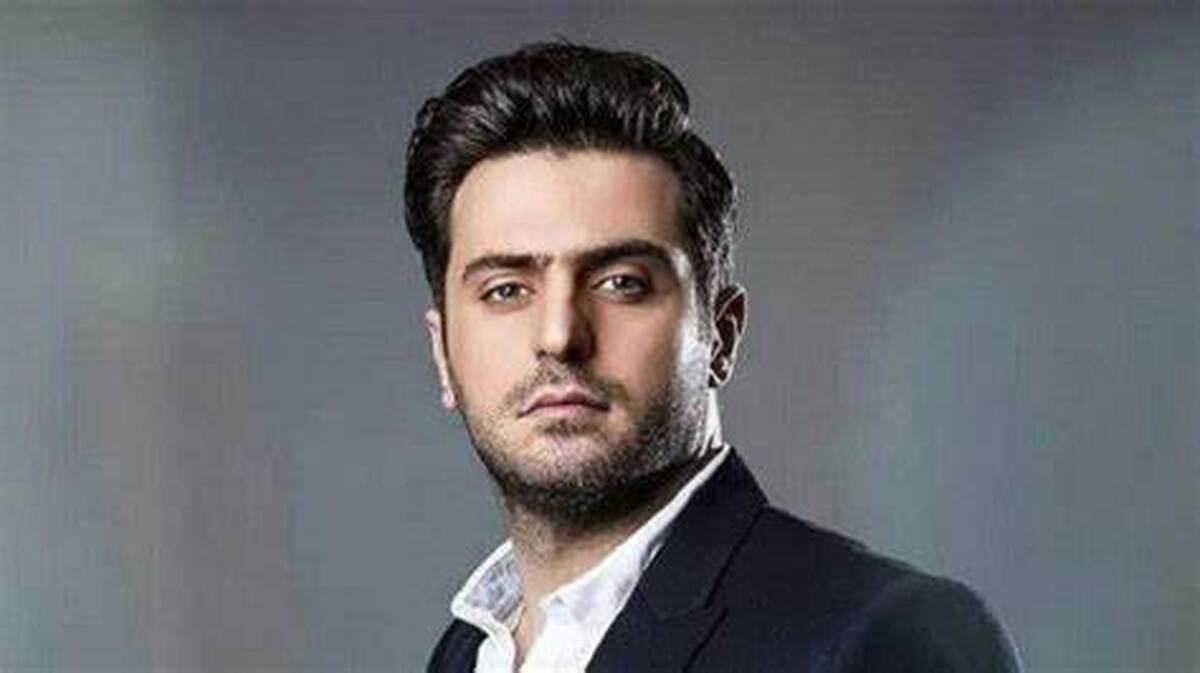 عکس یادگاری علی ضیا و شایع در کنسرت سیروان
