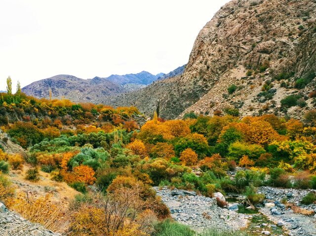 رمون؛ یکی از امن‌ترین و بکرترین مناطق ایران در آتش سوخت + عکس