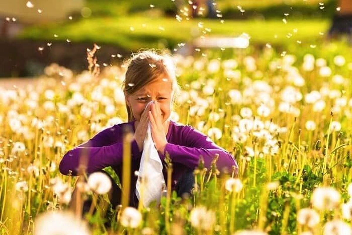 گرفتگی بینی در فصل بهار را این گونه برطرف کنید
