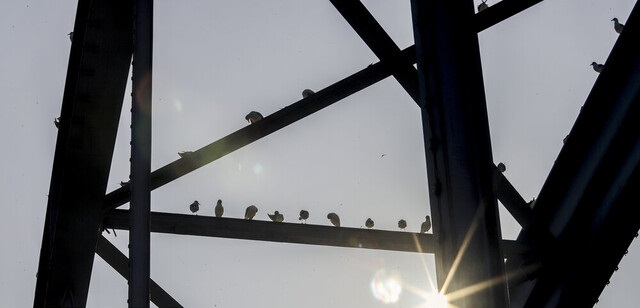 پیش‌بینی افزایش 4 درجه‌ای دما در خوزستان