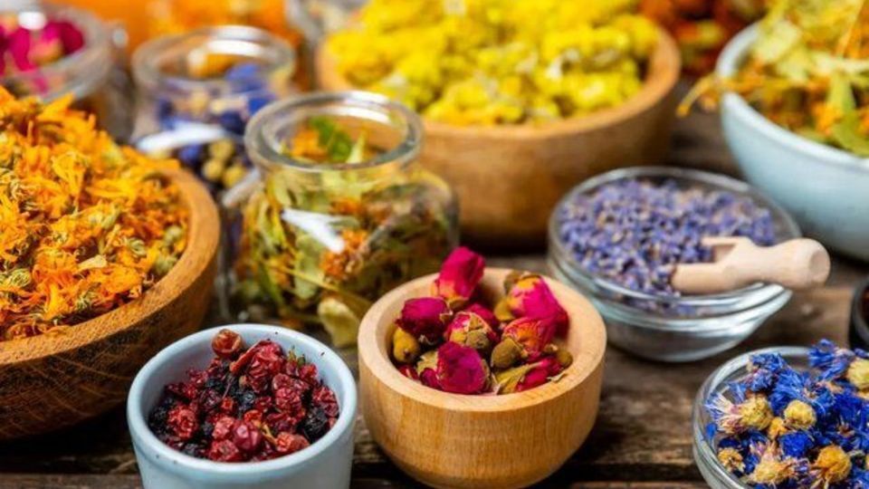 دارو‌های گیاهی را خودسرانه مصرف نکنید