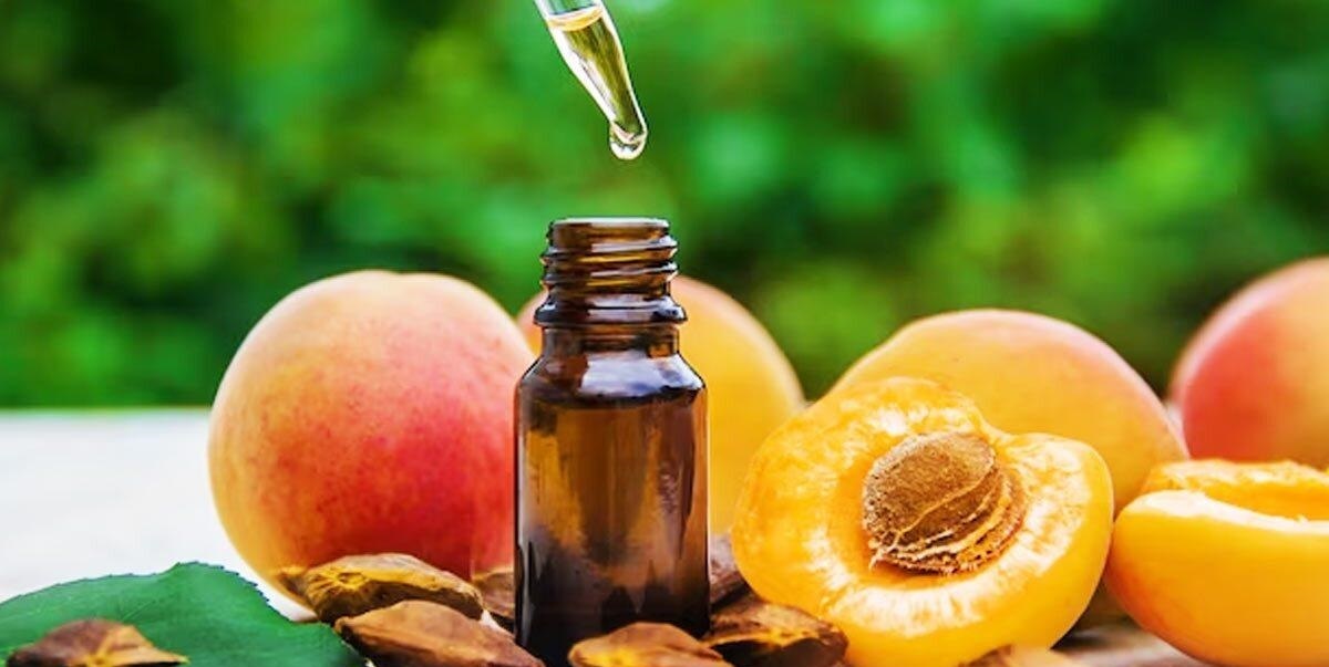 چگونه با روغن زردآلو، مو‌هایی نرم، براق و سالم داشته باشیم؟