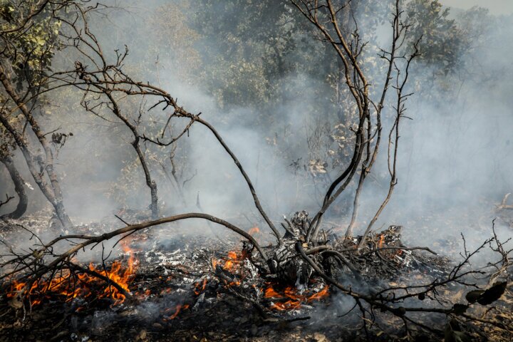 زاگرس؛ ستون فقرات زیست‌بوم ایران در معرض بحرانی بی‌سابقه