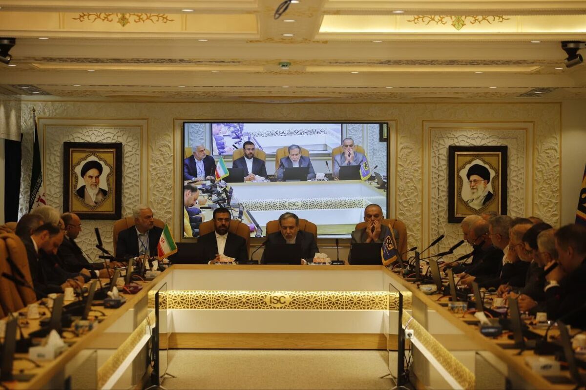 تاکید عراقچی بر نقش راهگشایی وزارت خارجه در روابط اقتصادی خارجی