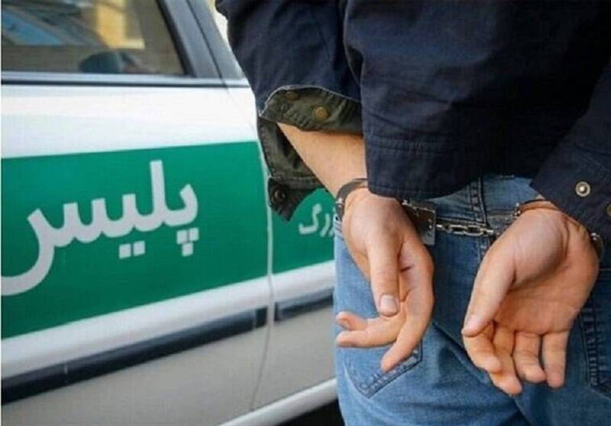 دستگیری زوج سارق ۱۲۰ میلیاردی پیش از خروج از کشور
