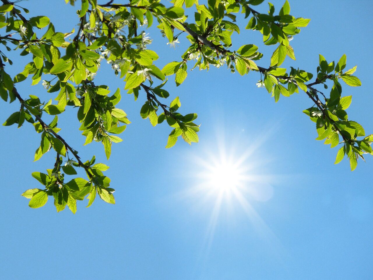 هواشناسی 1404/3/12؛ باران و گرد و خاک در اکثر استان‌ها