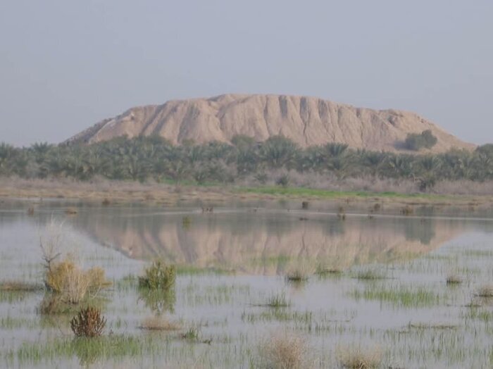 ماجرای حمله بیل مکانیکی به تمدن ۵ هزارساله جیرفت