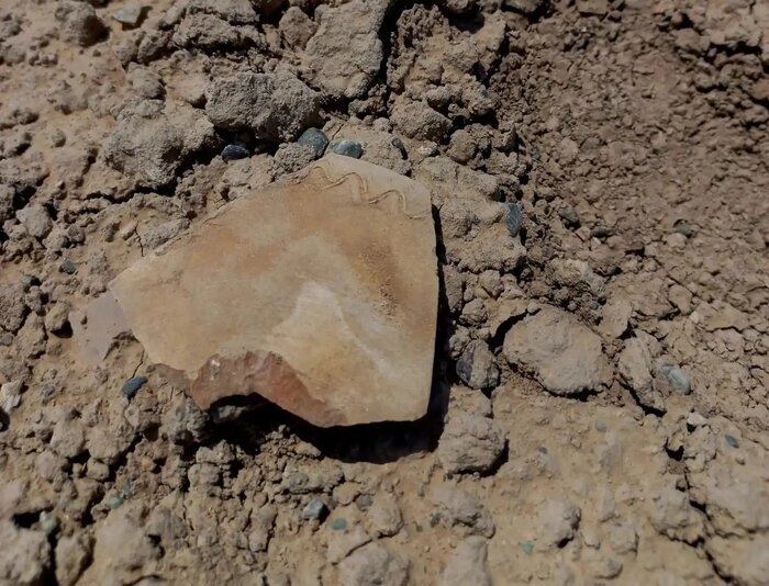 ماجرای حمله بیل مکانیکی به تمدن ۵ هزارساله جیرفت