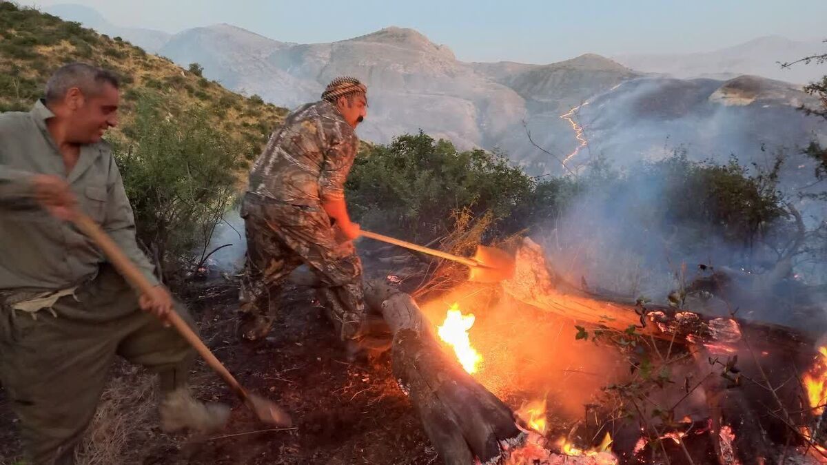 جزئیات آتش سوزی در پارک ملی گلستان