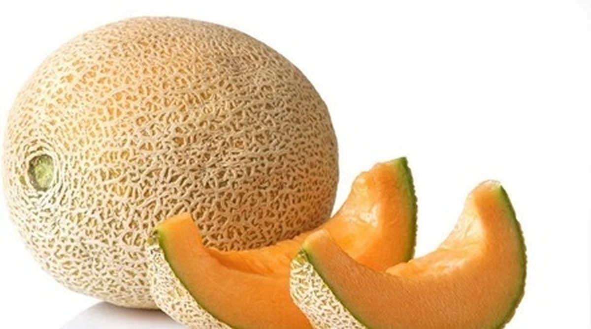 آیا ملون میوه‌ای تراریخته و مضر برای سلامتی است؟