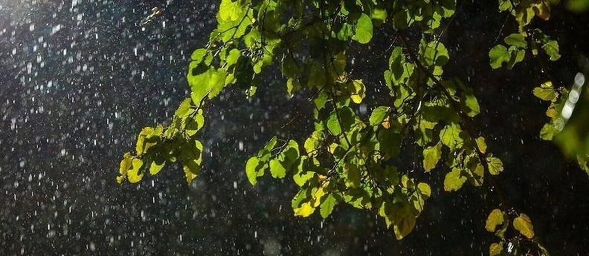 هواشناسی ۱۴۰۴/۰۳/۱۷/ رگبار باران، رعد و برق و وزش باد شدید در ۲۲ استان