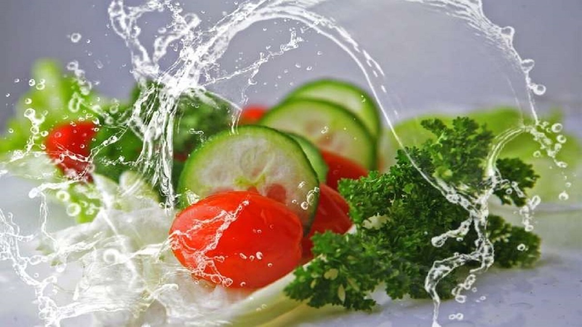 آیا متخصصان گیاه‌خواری را توصیه می‌کنند؟
