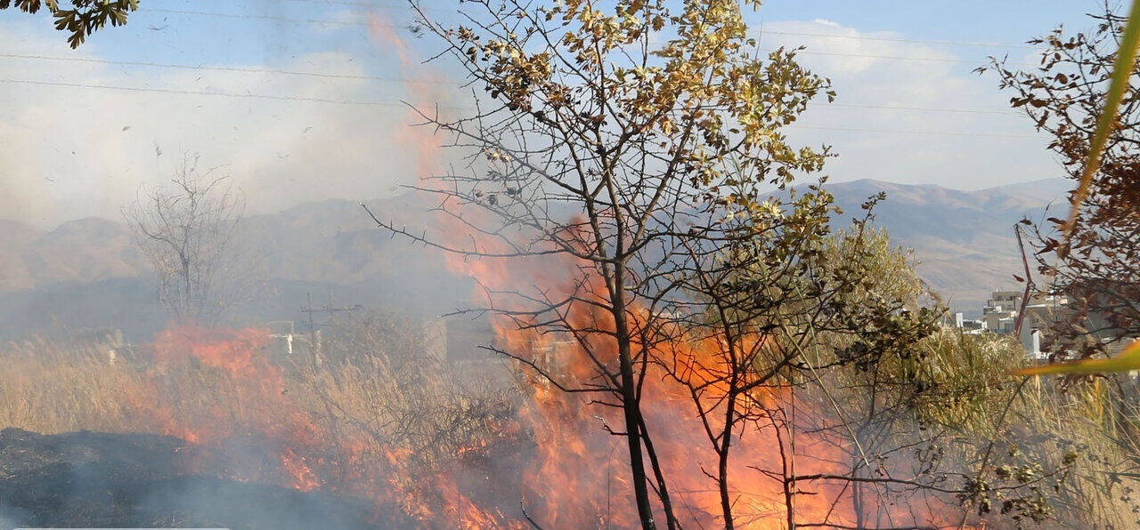 آتش سوزی در جنگل های خوزستان