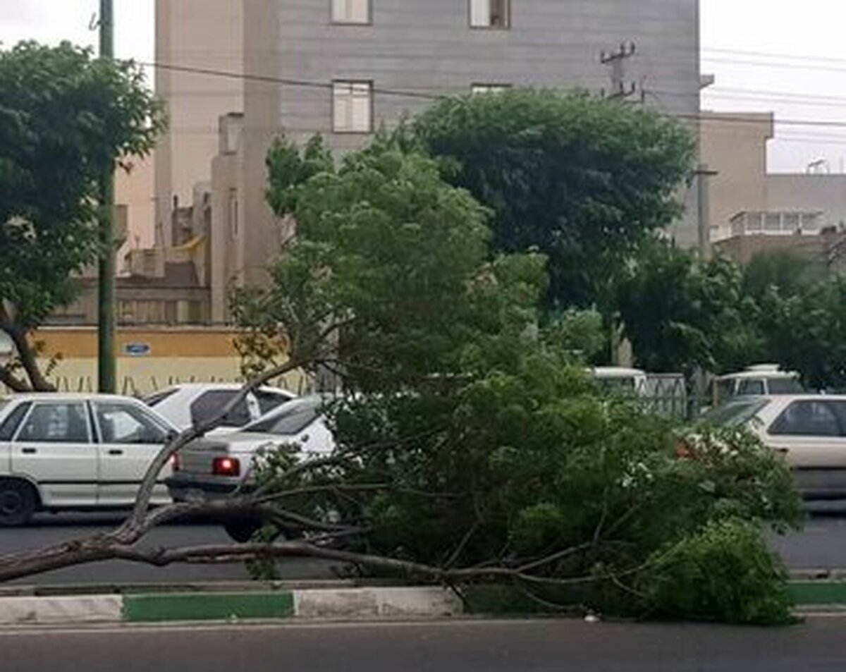 سازمان هواشناسی اطلاعیه داد
