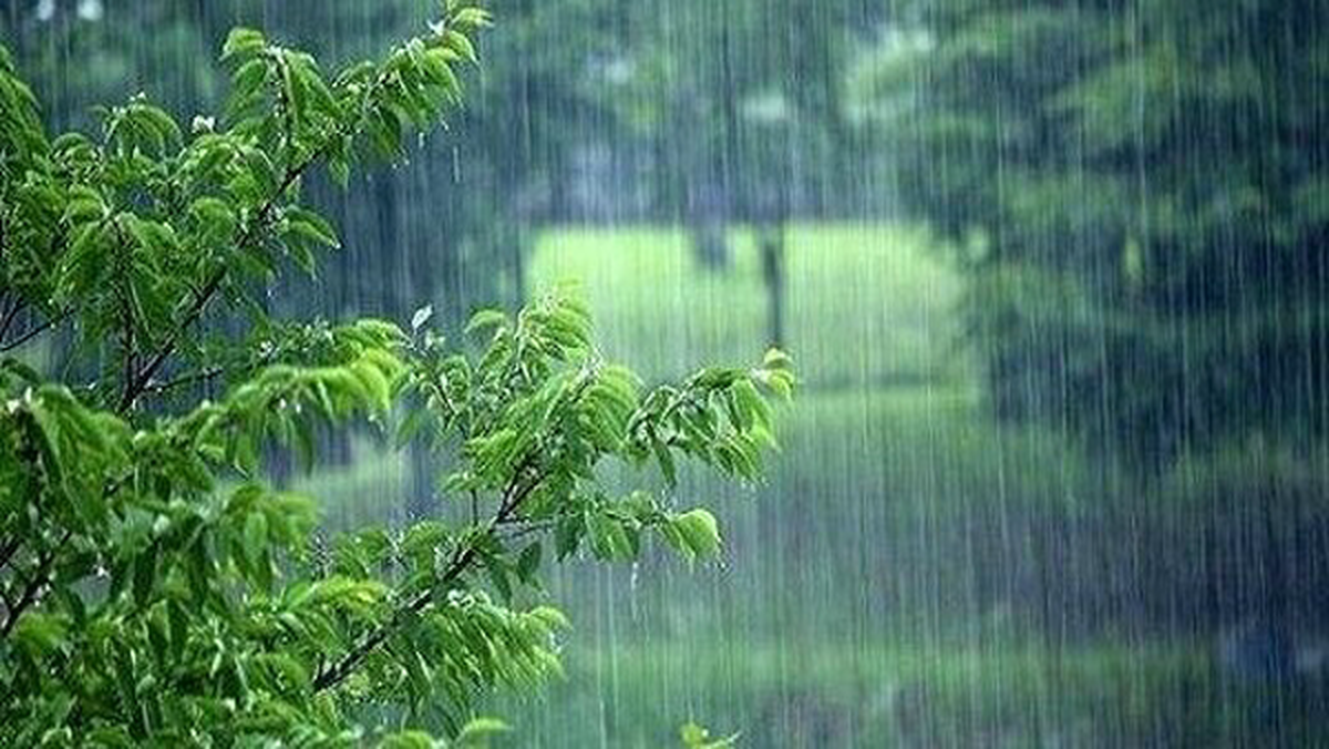 هواشناسی ۱۴۰۴/۳/۲۰؛ هشدار نارنجی برای ۲۲ استان