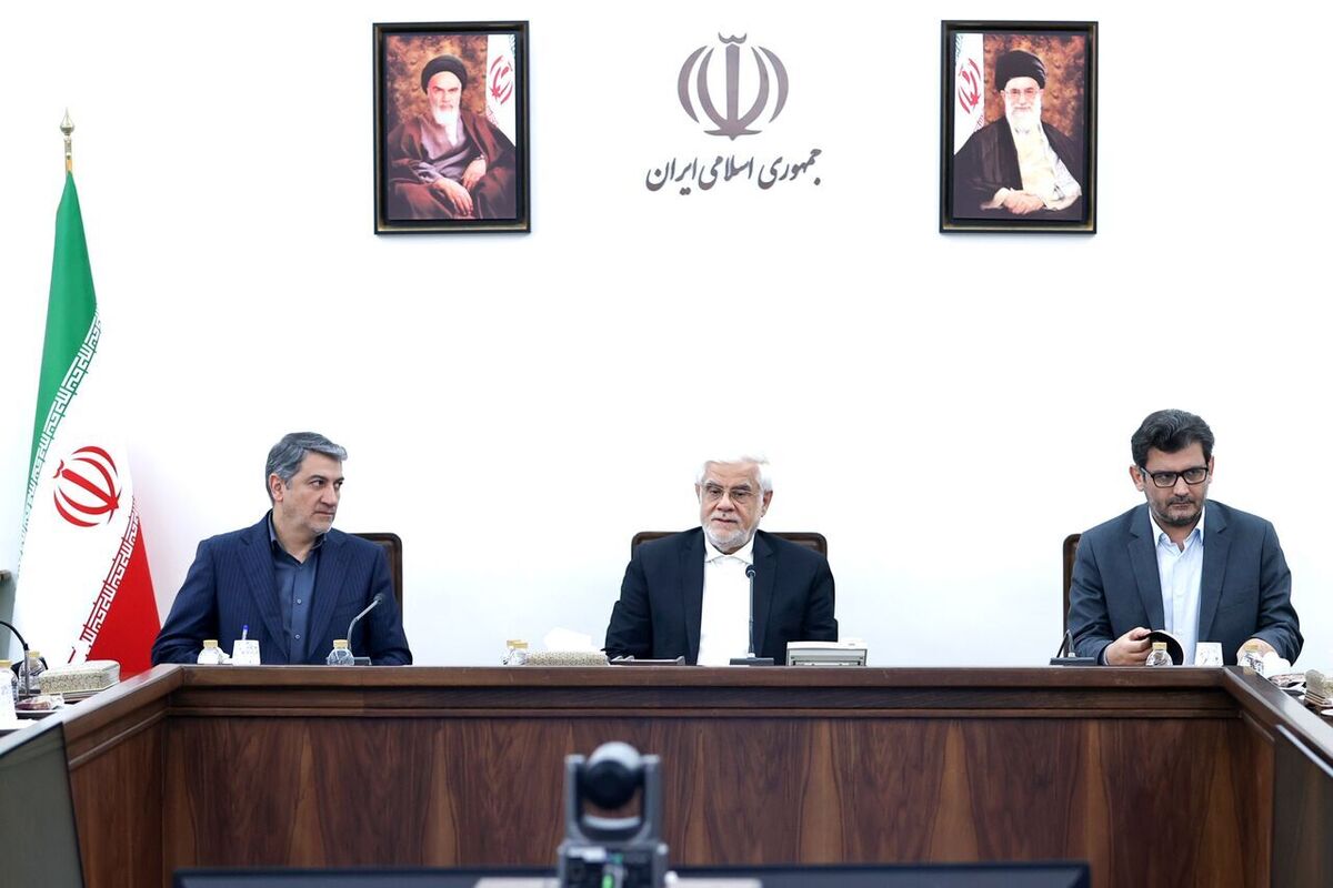 عارف: بخش خصوصی با وجود نوپا بودن در کشور خوش درخشید