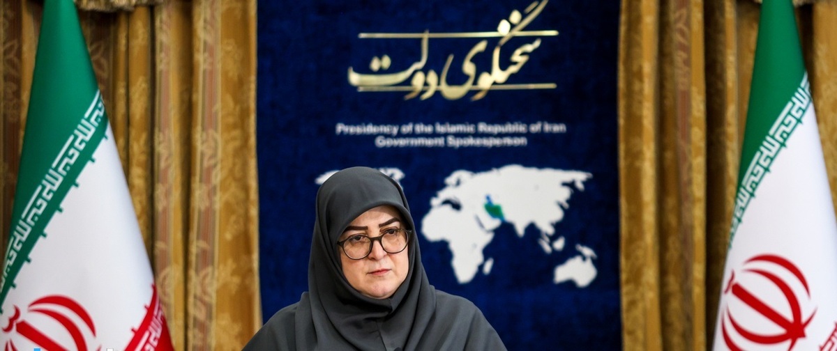 سخنگوی دولت: ایران دربرابر تجاوز هرگز سکوت نکرده و نخواهد کرد