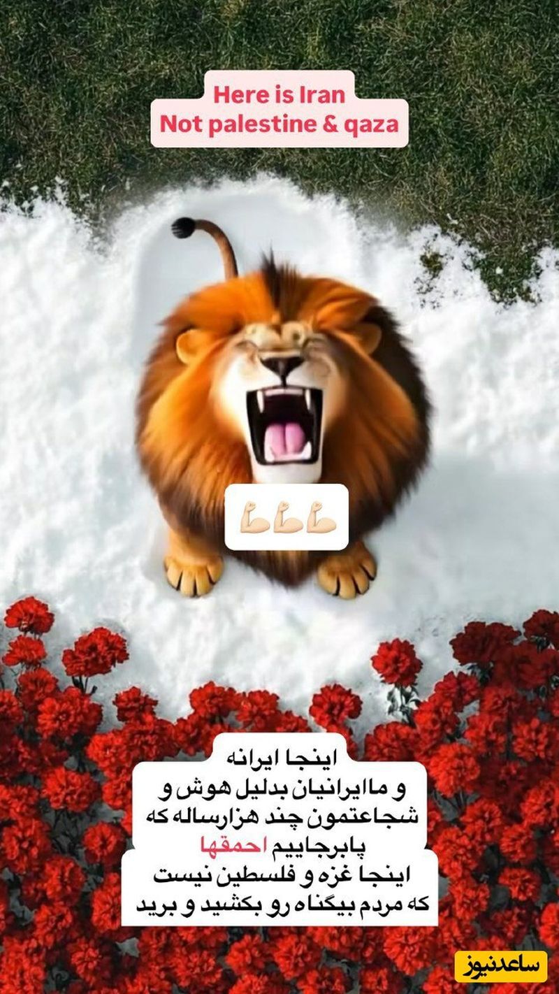 عکس/استوری لیلا اوتادی خطاب به اسرائیل