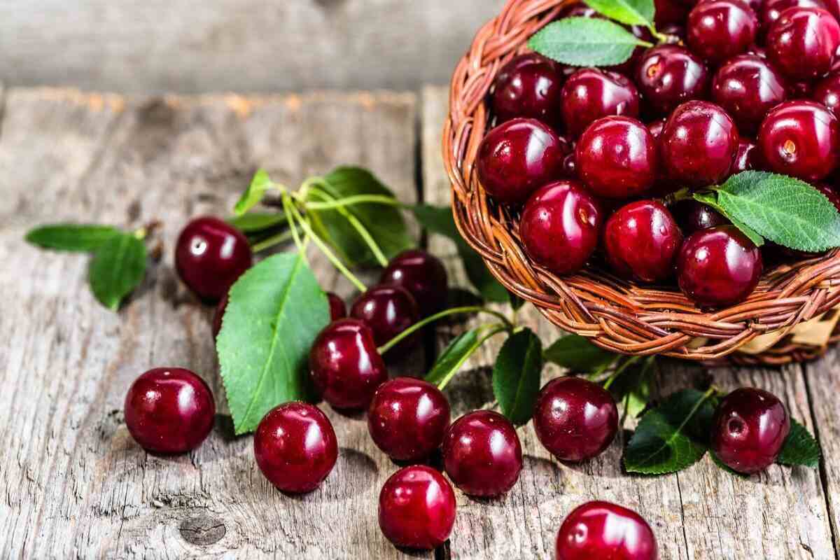 کرم گیلاس نه، اما از این میوه کپک‌زده بترسید