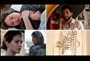 نخل‌های طلای کن به کدام فیلم‌ها و بازیگران می‌رسد؟
