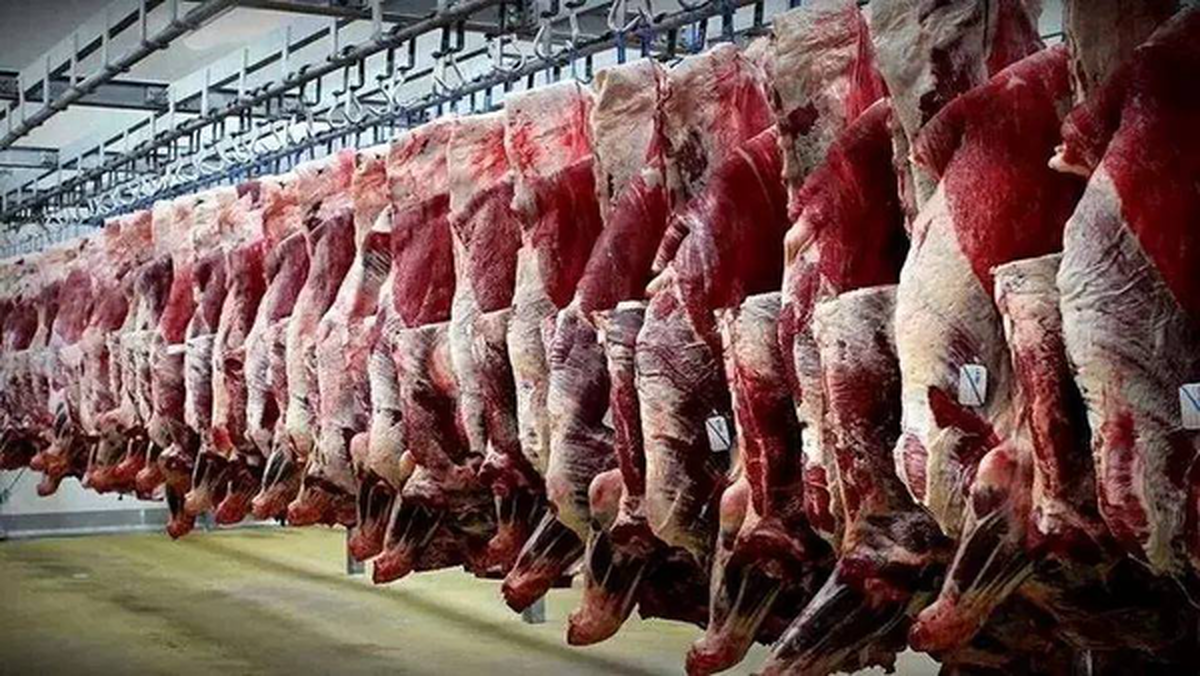 فعالیت صنایع گوشت و مرغ ۳ شیفته شد