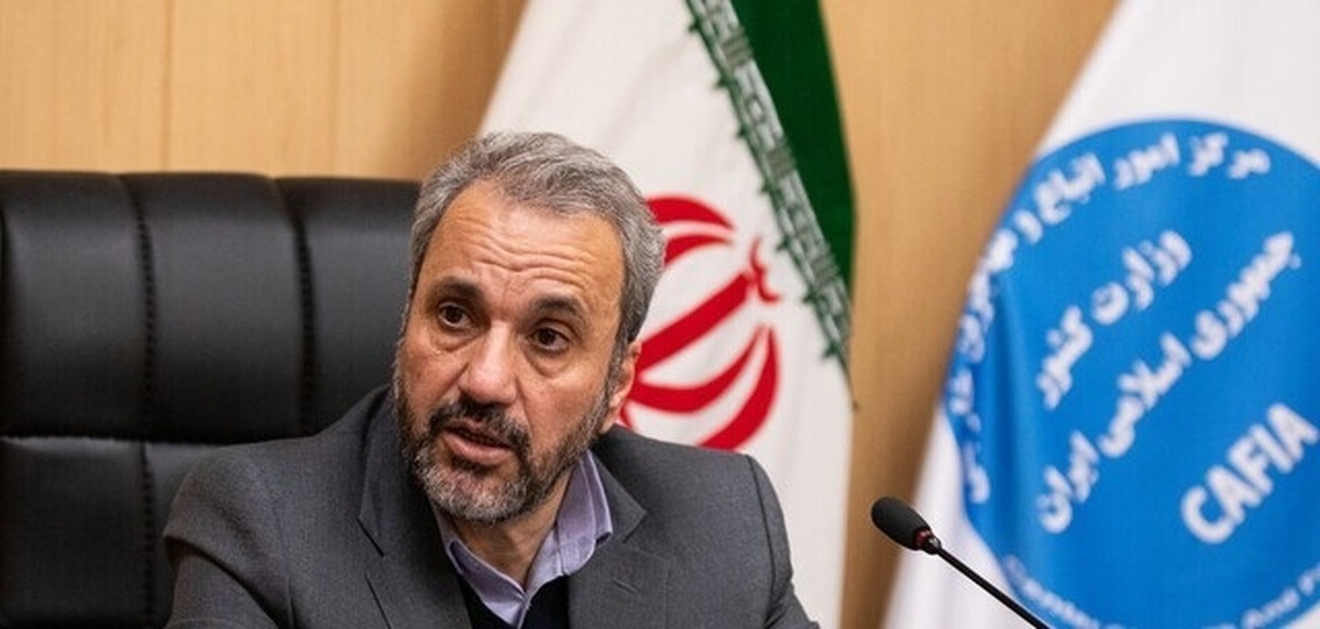 هشدار جدی دولت به مهاجران غیرقانونی