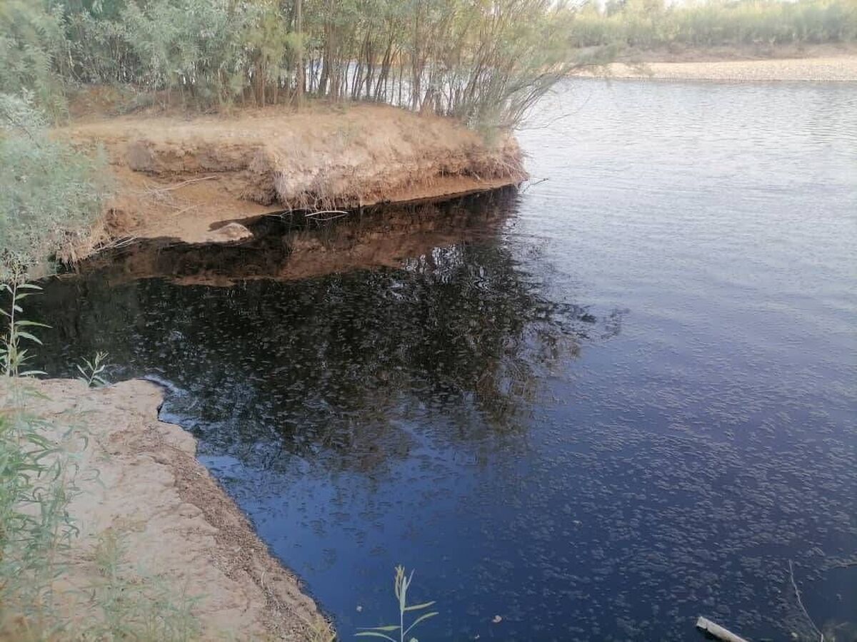 رودخانه مارون نفتی شد + عکس