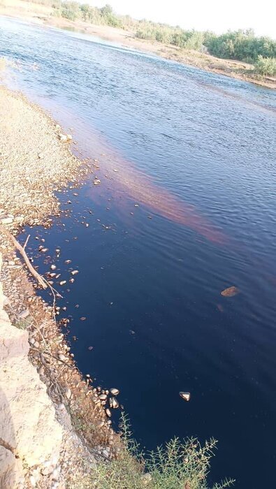 رودخانه مارون نفتی شد + عکس رودخانه مارون نفتی شد + عکس