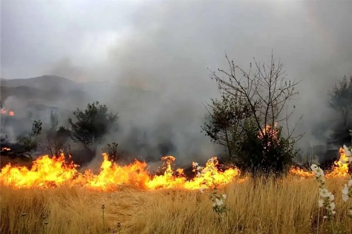 آتش سوزی گسترده در مراتع «هماگ» بندرعباس