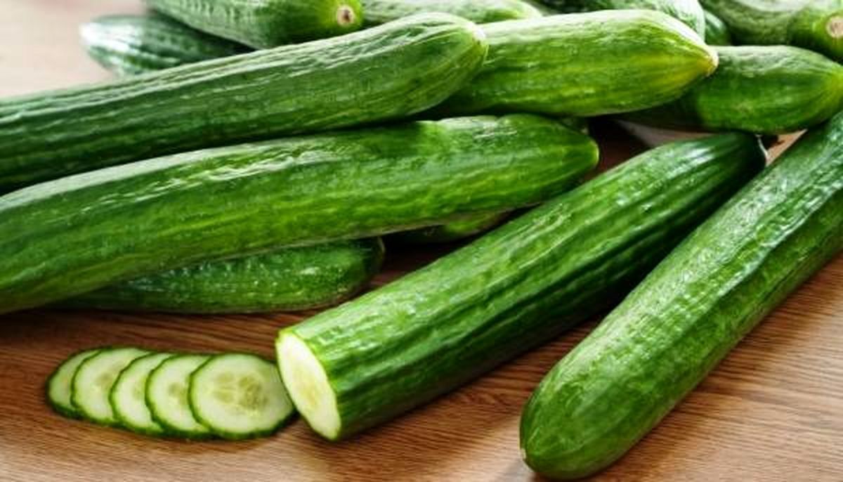 میوه‌ها بزرگترین منبع رطوبت‌رسانی به بدن