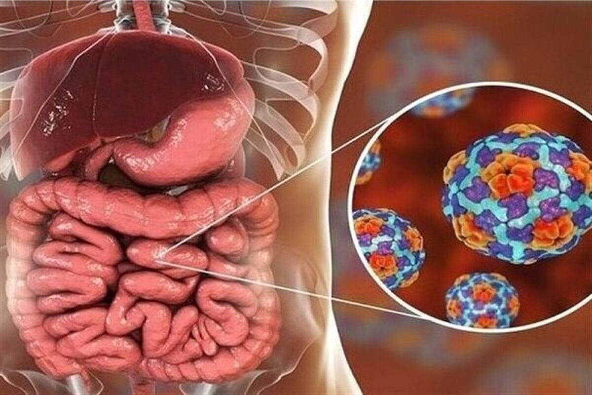آخرین وضعیت شیوع بیماری‌های تنفسی