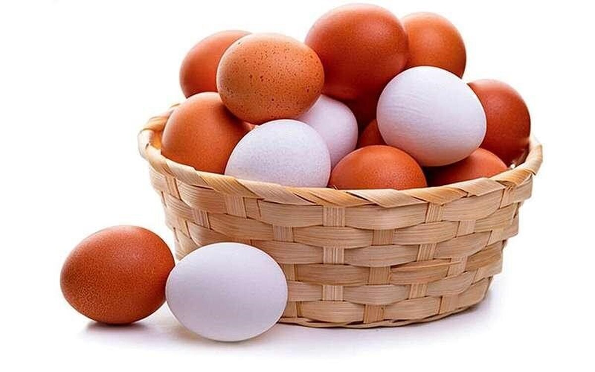 اگر هر روز تخم‌مرغ بخوریم کلسترول بدمان بالا می‌رود؟