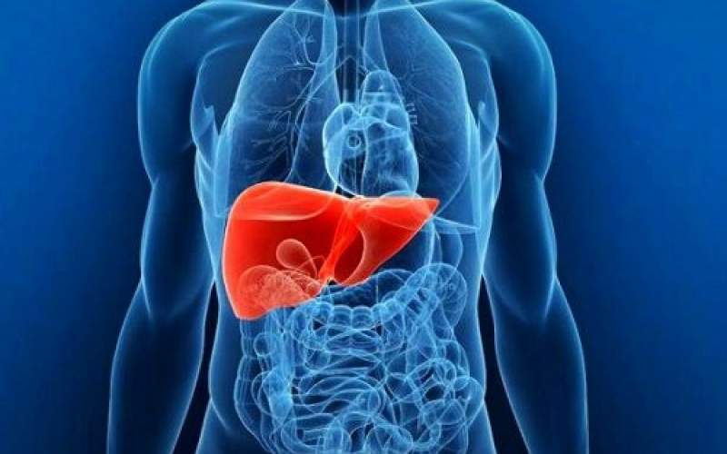 نقش طب سنتی در بهبود عملکرد کبد و سم‌زدایی طبیعی بدن