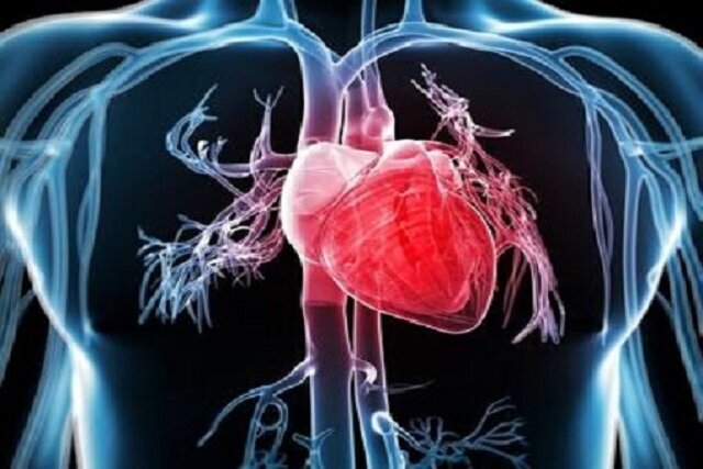 مرگ بر اثر مشکلات قلبی در افراد مبتلا به سرطان پروستات