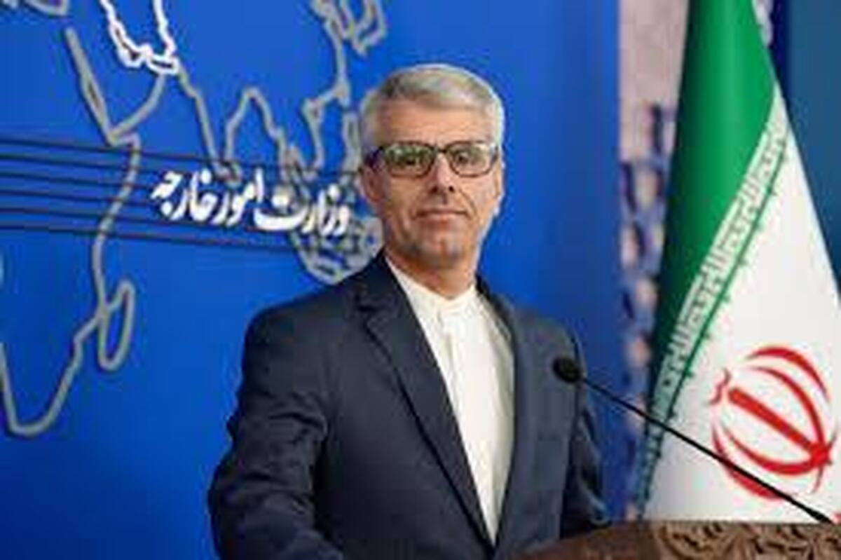 بقائی: دولت آلمان باید پاسخگوی حمایت خود از جنایات رژیم اسرائیل باشد