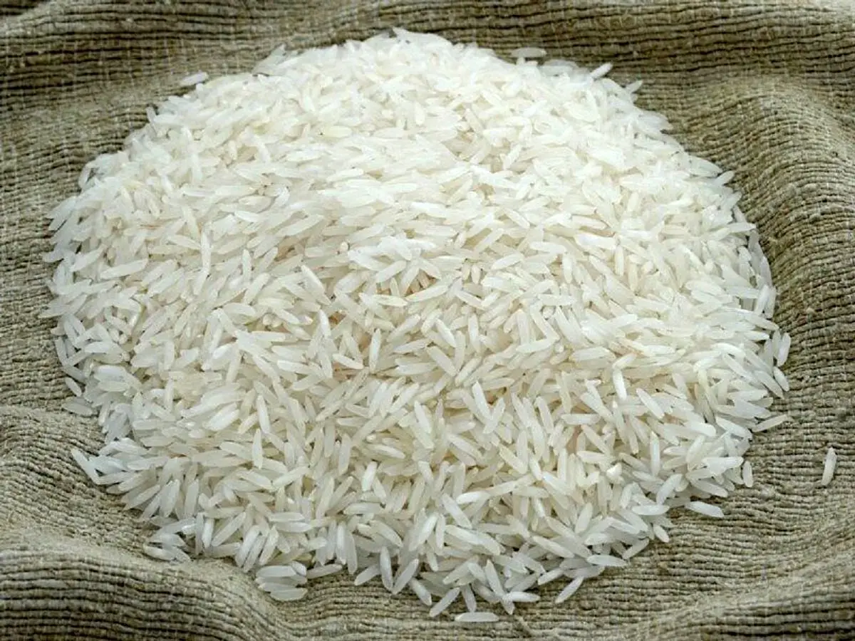 برنج ارزان می‌شود؟