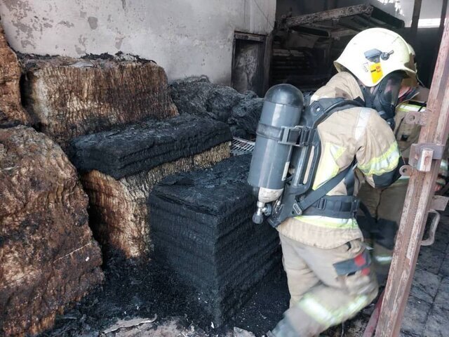 آتش‌سوزی در کارگاه پارچه در جاده ورامین؛ یک کارگر مصدوم شد