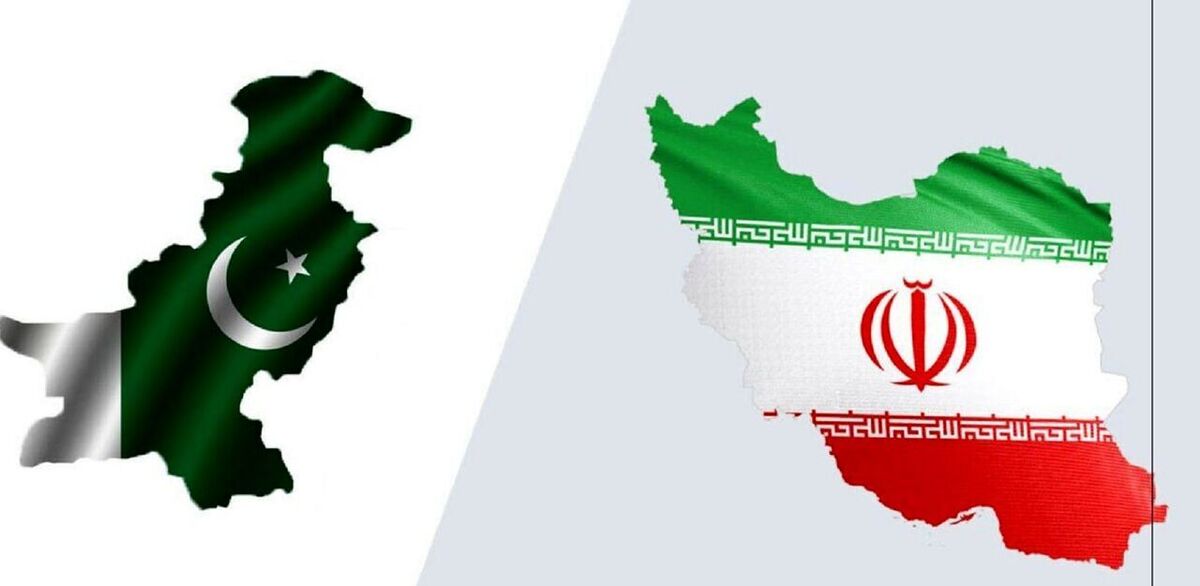 وزیر کشور پاکستان وارد تهران شد