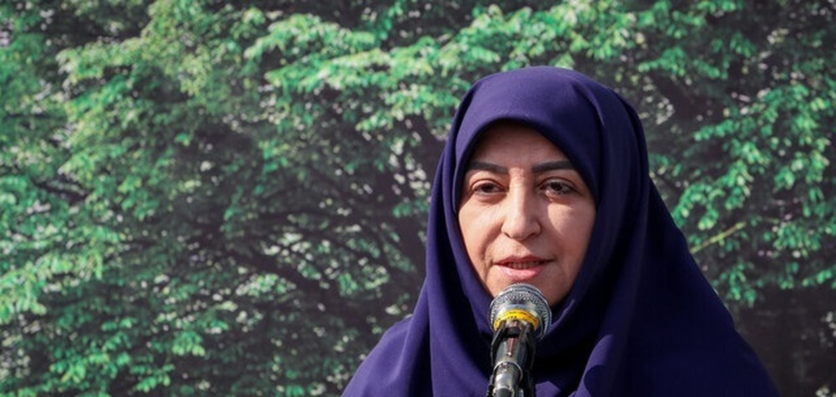 انصاری: تالاب صالحیه، کانون اصلی گردوغبار تهران و کرج است