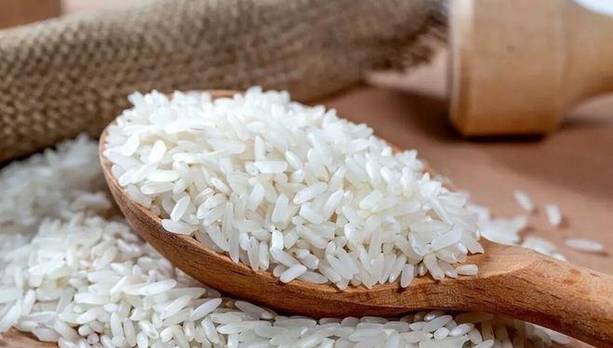 برنج‌های لوکس داخلی چرا گران شدند؟